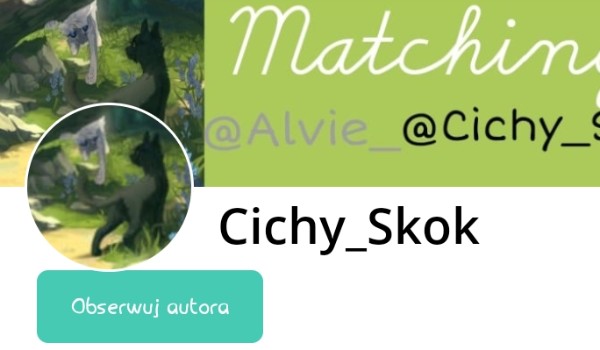 Wywiad z użytkownikiem @Cichy_Skok