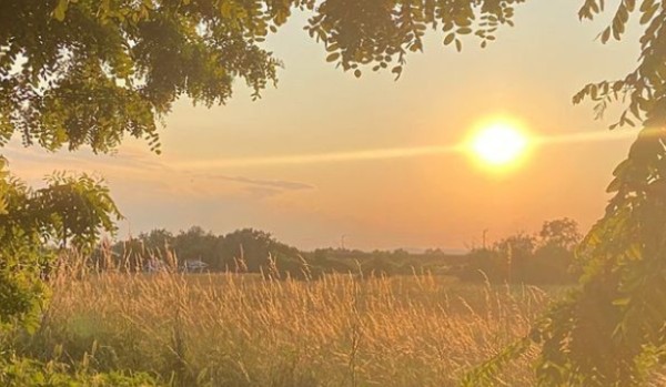 Zdrapka zdecyduje którą księżniczką Disneya jesteś!