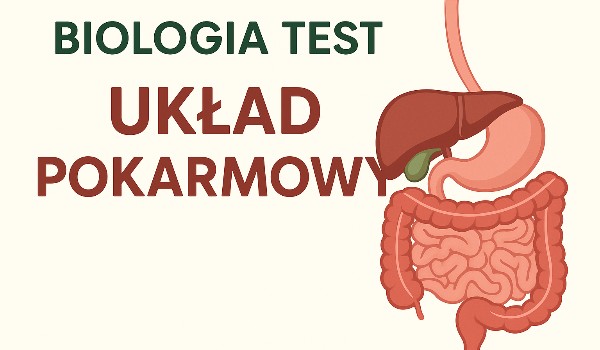 Układ pokarmowy