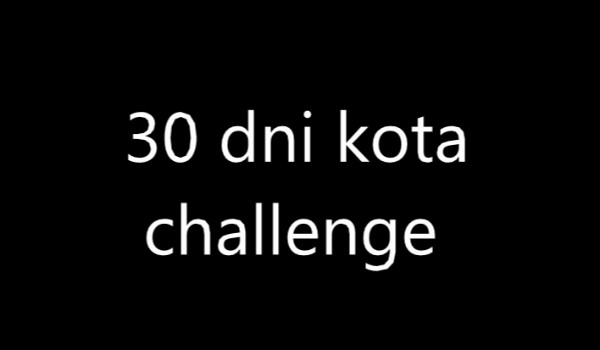30 dni kota challenge, dzień 6
