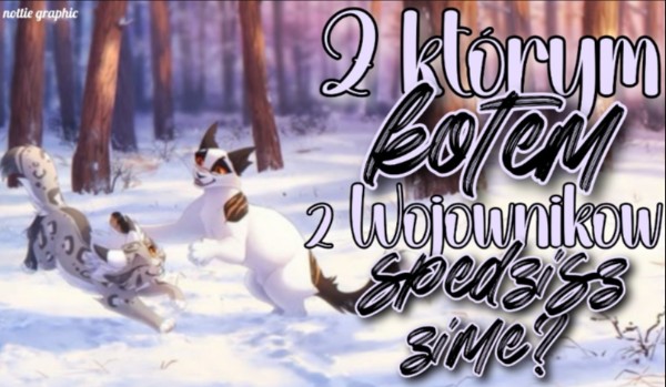 Z którym kotem z Wojowników spędzisz zimę?
