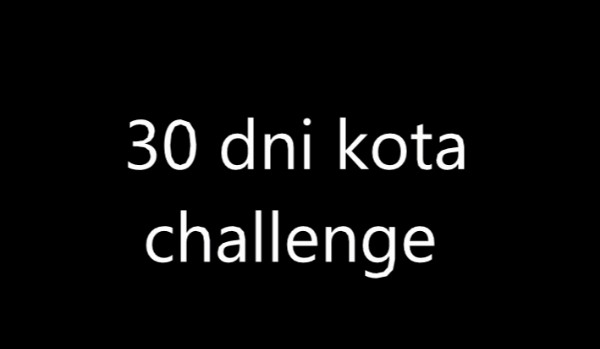 30 dni kota challenge, dzień 8