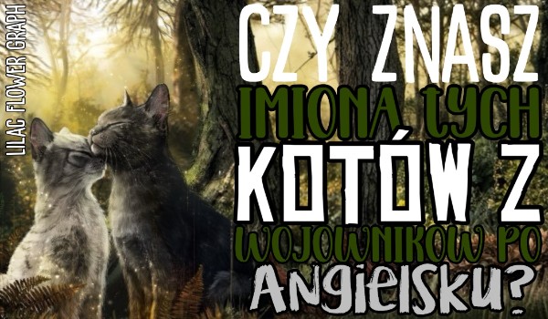 Czy znasz imiona tych kotów z Wojowników po angielsku?