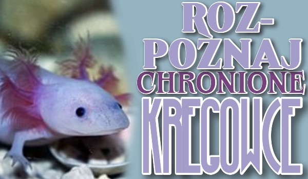 Rozpoznaj chronione kręgowce!