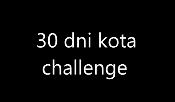 30 dni kota challenge, dzień 13