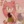 Amyrose1767