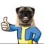 kisu_dog
