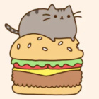 Anixpusheen