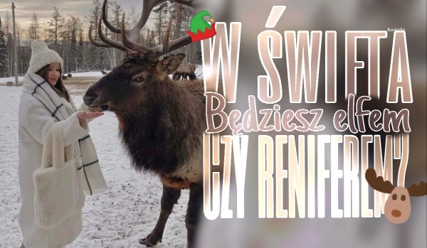 W święta będziesz elfem czy reniferem?