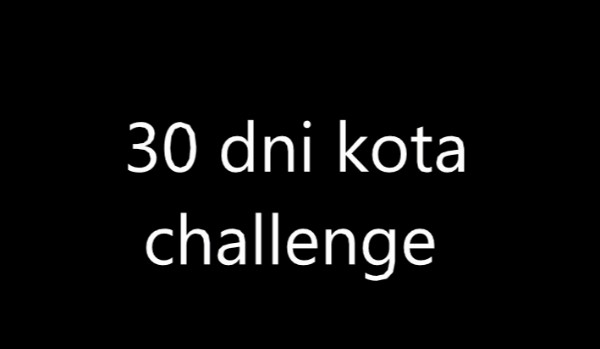 30 dni kota challenge, dzień 14
