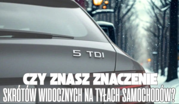 Czy znasz znaczenie skrótów widocznych na tyłach samochodów?