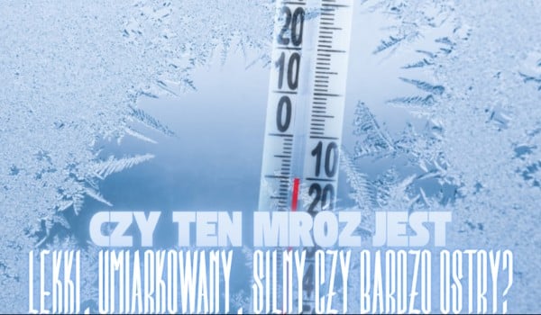 Czy ten mróz jest lekki, umiarkowany, silny czy bardzo ostry?