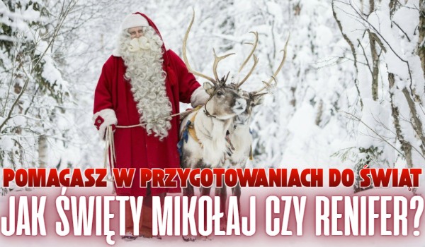 Pomagasz w przygotowaniach do świąt jak Święty Mikołaj czy Renifer?