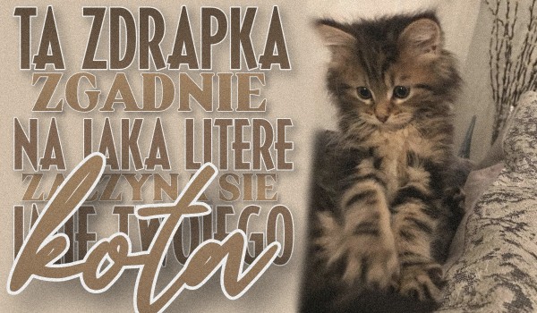 Ta zdrapka zgadnie na jaką literę zaczyna się imię Twojego kota!