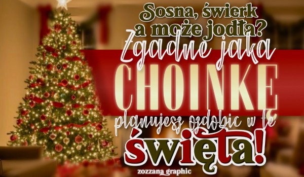 Sosna, świerk, może jodła? Zgadnę, jaką choinkę planujesz ozdobić w tym roku na święta!