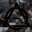 fox_therian