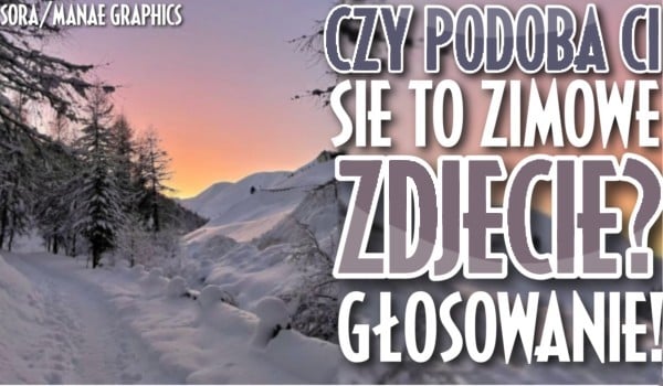 Czy podoba Ci się to zimowe zdjęcie? Głosowanie!