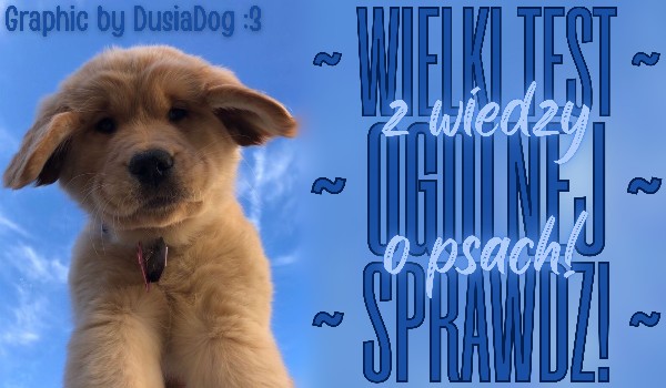 Wielki test z wiedzy ogólnej o psach!