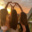 PMO_BFF