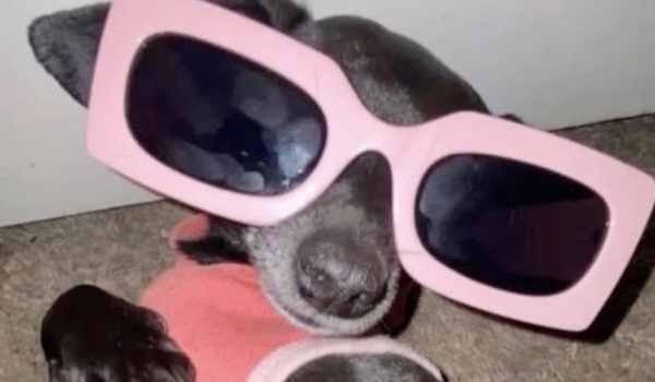 Jakim typem osoby jesteś