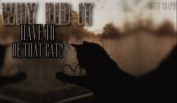 Why did it have to be that cat? [1/?]