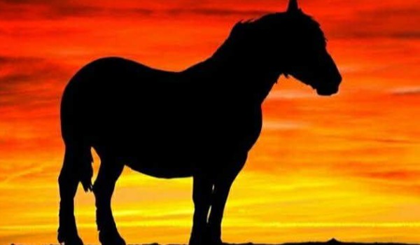 Jak masz na imię????