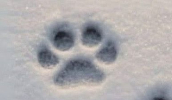 Q&A | specjał na 150 obs |