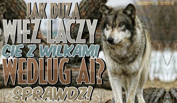 Jak duża więź łączy Cię z wilkami według AI?