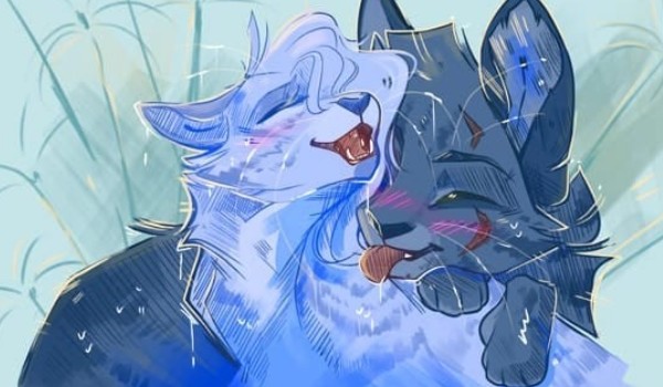 Wojownicy generator imion część 2!