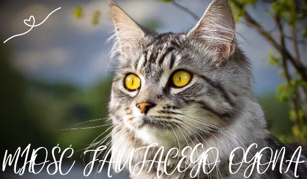 Miłość Falującego Ogona #16