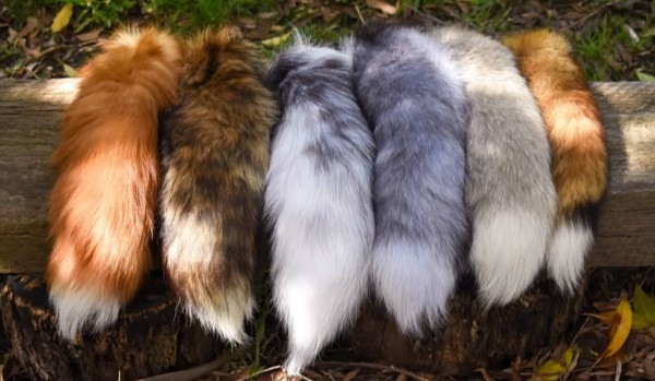 Eliminator fake therian!