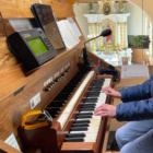 organista123