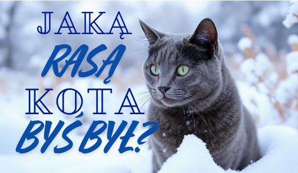Jaką rasą kota byś był?