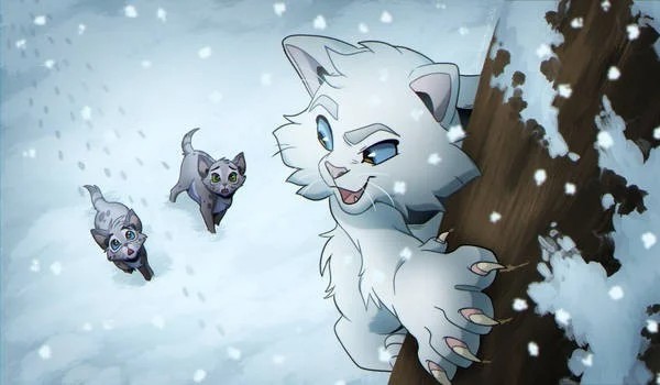 Grudzień z Wojownikami-dzień 16.