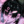 Cute_Cat-