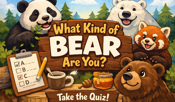 What Kind of Bear Are You?