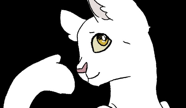 30 dni z Wojownikami! Chapter 8