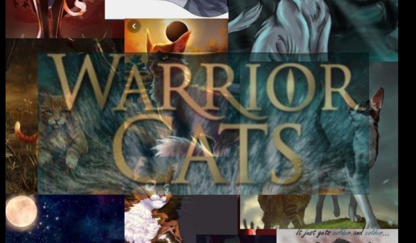 Do jakiego klanu nakeżysz  ?