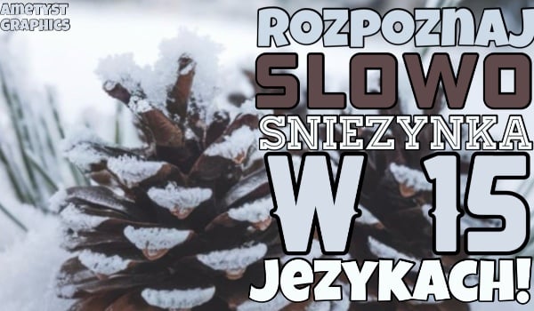 Rozpoznaj słowo śnieżynka w 15 różnych językach!