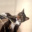 Winogron