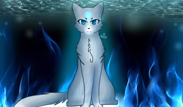 Zdrap jakim kotem jesteś z wojowników