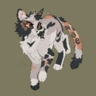 cinder.paw.