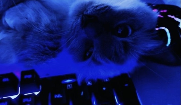 Wyniki etapu 2 i zapisy do etapu 3!|konkurs graficzny u Missy!