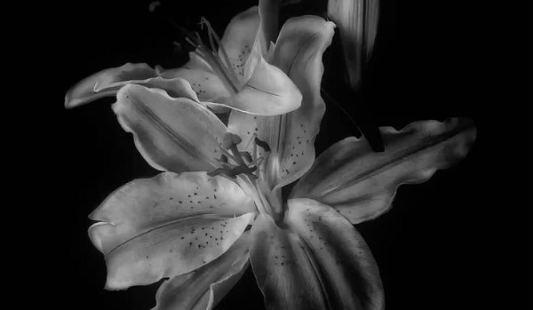 Podsumowanie roku 2025.