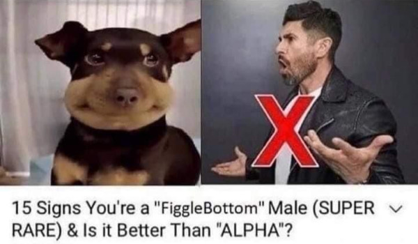 quiz for my friends do not click if you’re not my friend