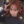 .kyeri