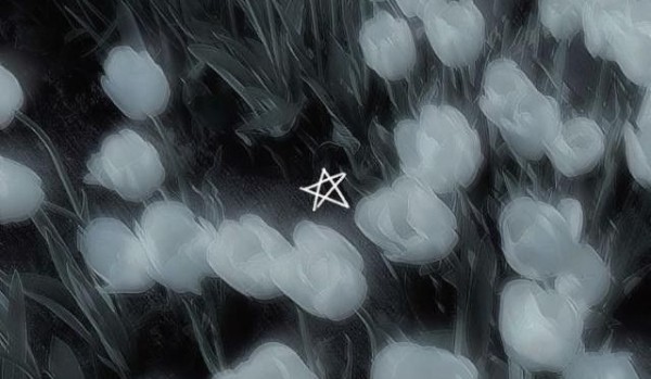 Podsumowanie roku :D