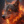 Fire_wolf_Fantasy