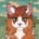 ._.BurningBlizzard._.