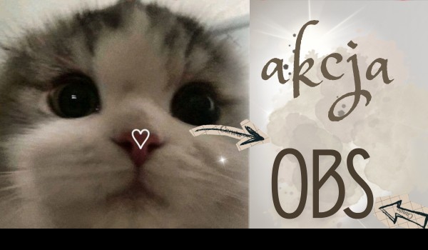 Akcja OBS dla małych profili